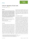 Calcium regulation of stem cells