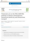 Tribuloside acts on the PDE/cAMP/PKA pathway to enhance melanogenesis, melanocyte dendricity and melanosome transport