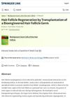 Hair Follicle Regeneration by Transplantation of a Bioengineered Hair Follicle Germ