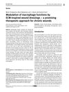 Modulation of Macrophage Functions by ECM-Inspired Wound Dressings – A Promising Therapeutic Approach for Chronic Wounds