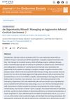 An Opportunity Missed: Managing an Aggressive Adrenal Cortical Carcinoma