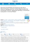 Bioactive Small Molecule Enhances Skin Burn Wound Healing and Hair Follicle Regeneration by Activating PI3K/AKT Signaling Pathway: A Preclinical Evaluation in Animal Model