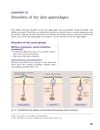 Disorders of the skin appendages