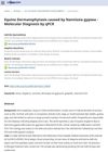 Equine Dermatophytosis Caused by Nannizzia Gypsea - Molecular Diagnosis by qPCR