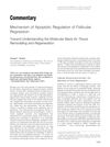 Mechanism of Apoptotic Regulation of Follicular Regression