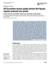 CD133-positive dermal papilla-derived Wnt ligands regulate postnatal hair growth
