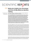 Molecular insights into chronotype and time-of-day effects on decision-making