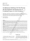 5α-Reductase Inhibitors Do Not Prevent the Development and Progression of Urothelial Cancer: In Vitro Evidence