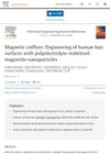 Magnetic Hairstyling: Engineering Human Hair Surfaces with Polyelectrolyte-Stabilized Magnetite Nanoparticles