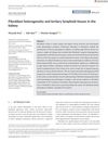 Fibroblast heterogeneity and tertiary lymphoid tissues in the kidney