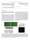 The establishment and characterization of immortalized human dermal papilla cells and their hair growth promoting effects