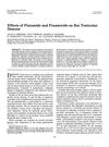 Effects of Flutamide and Finasteride on Rat Testicular Descent