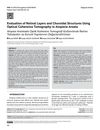 Evaluation of Retinal Layers and Choroidal Structures Using Optical Coherence Tomography in Alopecia Areata