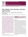 Hair Follicles, Their Disorders, and Their Opportunities