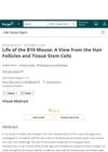 Life of the B10 Mouse: A View from the Hair Follicles and Tissue Stem Cells