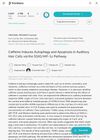 Caffeine Induces Autophagy and Apoptosis in Auditory Hair Cells via the SGK1/HIF-1α Pathway