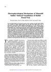 Electrophysiological mechanisms of minoxidil sulfate-induced vasodilation of rabbit portal vein.
