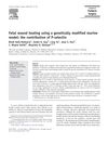 Fetal wound healing using a genetically modified murine model: the contribution of P-selectin