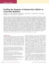 Profiling the Response of Human Hair Follicles to Ultraviolet Radiation
