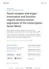 Author Response: Touch receptor end-organ innervation and function require sensory neuron expression of the transcription factor Meis2