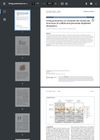 Using proteomics to compare the molecular structures of sulfide and permeate-depilated sheepskins