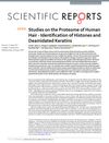 Studies on the Proteome of Human Hair: Identification of Histones and Deamidated Keratins