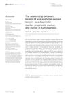 The Relationship Between Keratin 18 and Epithelial-Derived Tumors: As a Diagnostic Marker, Prognostic Marker, and Its Role in Tumorigenesis